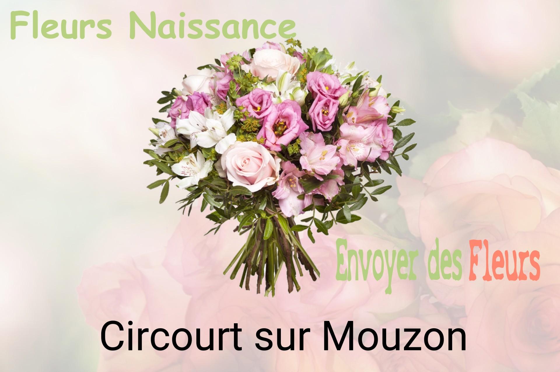 Bouquet de fleurs de naissance livré à Circourt-sur-Mouzon