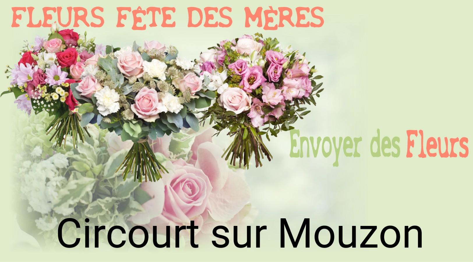 Bouquet de Fête des Mères livré à Circourt-sur-Mouzon